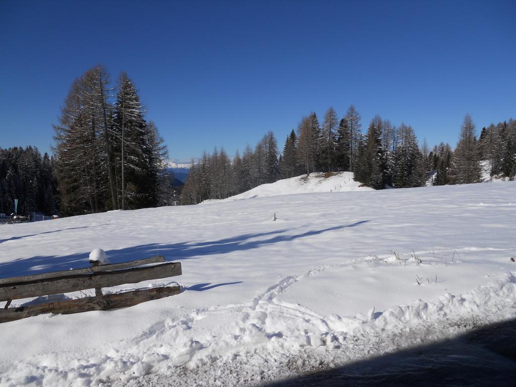 Villa Tamion Vigo di Fassa Exterior foto